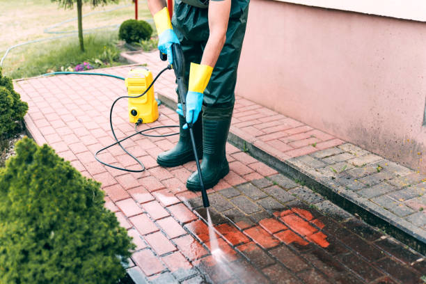 Animal Enclosure Cleaning in New Baden, IL